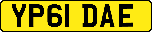 YP61DAE