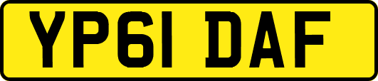 YP61DAF