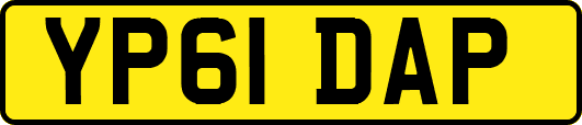 YP61DAP