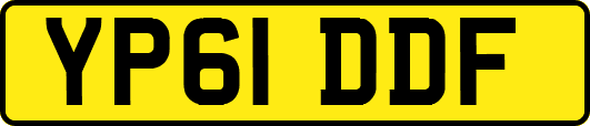 YP61DDF