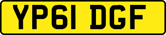 YP61DGF