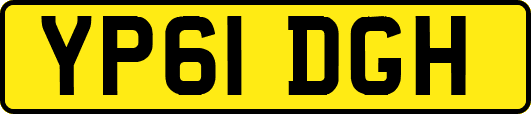 YP61DGH