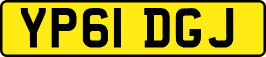 YP61DGJ
