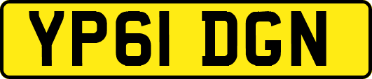 YP61DGN