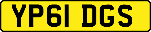 YP61DGS