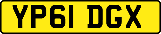 YP61DGX