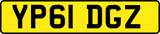 YP61DGZ