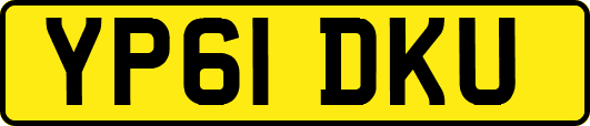 YP61DKU