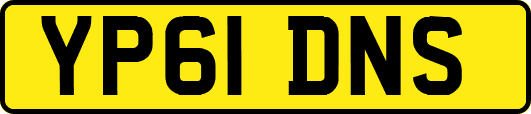 YP61DNS