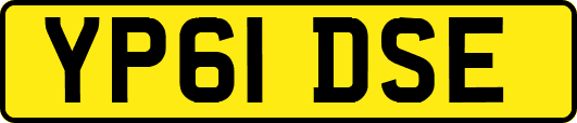 YP61DSE