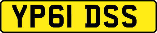 YP61DSS