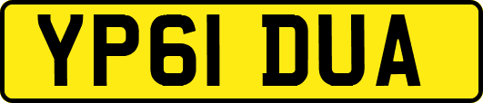YP61DUA