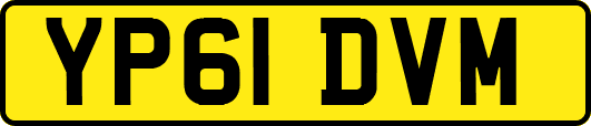 YP61DVM