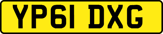 YP61DXG