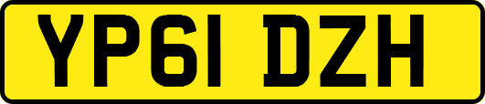 YP61DZH