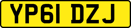 YP61DZJ