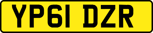 YP61DZR