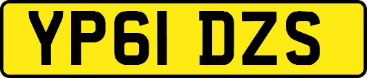 YP61DZS
