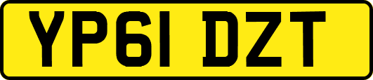 YP61DZT