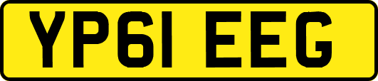 YP61EEG