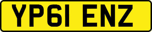 YP61ENZ