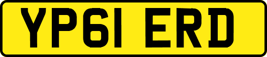 YP61ERD