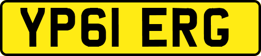 YP61ERG