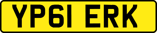 YP61ERK