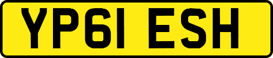 YP61ESH