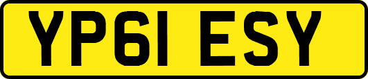 YP61ESY