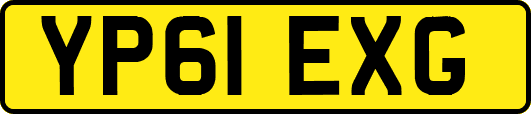 YP61EXG