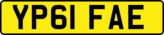 YP61FAE