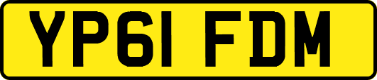 YP61FDM