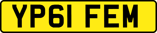 YP61FEM
