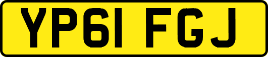 YP61FGJ