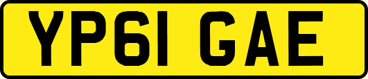 YP61GAE