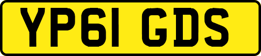 YP61GDS