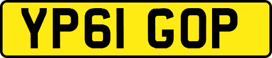 YP61GOP