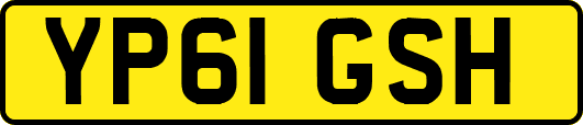 YP61GSH