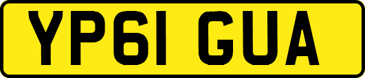 YP61GUA