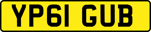 YP61GUB