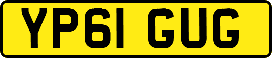 YP61GUG