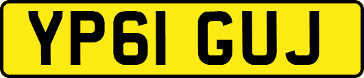 YP61GUJ