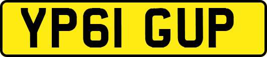YP61GUP
