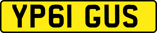 YP61GUS