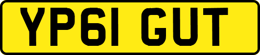 YP61GUT
