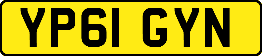 YP61GYN