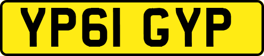 YP61GYP