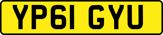 YP61GYU
