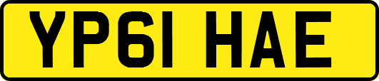 YP61HAE